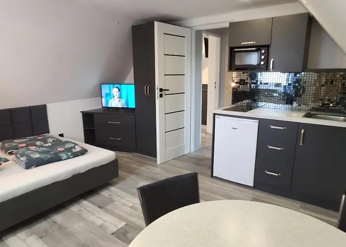 Goscinne Tyrol 民宿 *